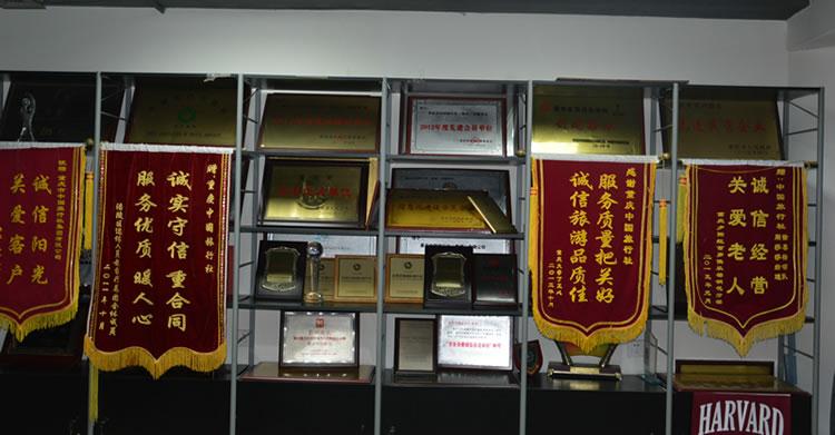 重庆中国旅行社奖牌